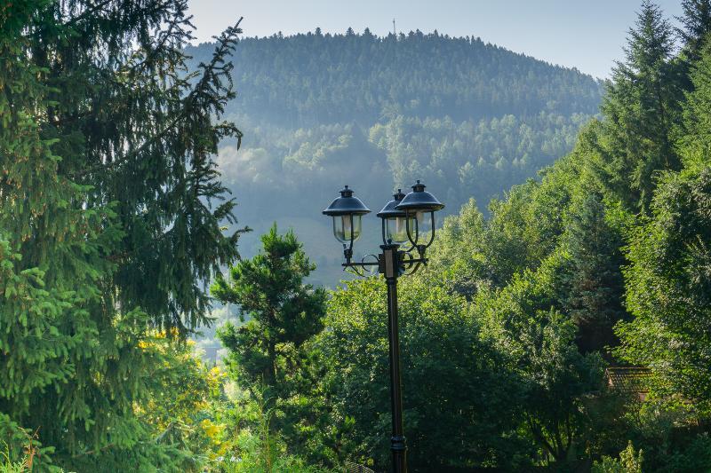 Kraehenbad Hotel Алпирсбах Екстериор снимка